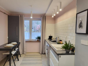 Apartamenty Niedzwiadek